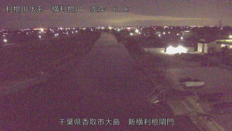 yoko2026013101_image