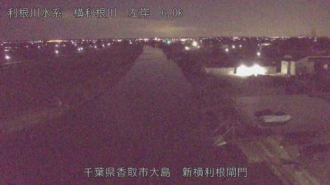 yoko2026013102_image