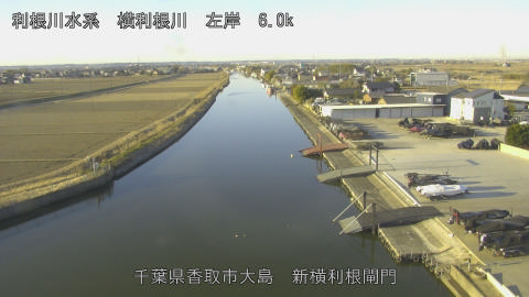 yoko2026020108_image