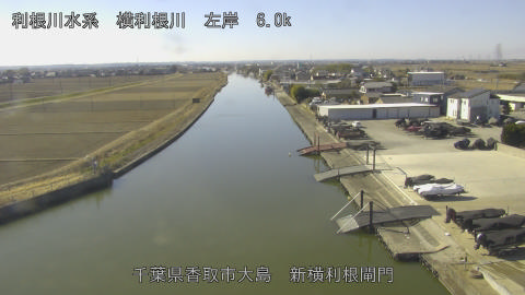 yoko2026020111_image