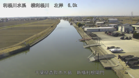 yoko2026020112_image