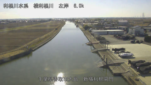 yoko2026020114_image