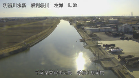 yoko2026020115_image