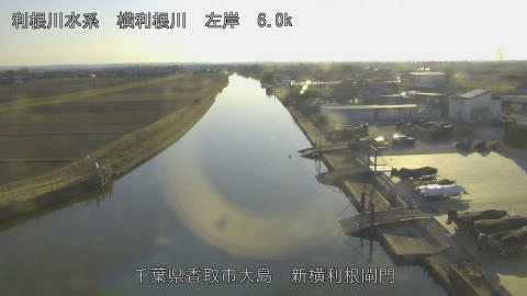 yoko2026020116_image