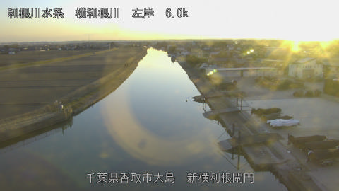 yoko2026020117_image