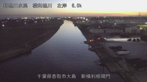 yoko2026020118_image