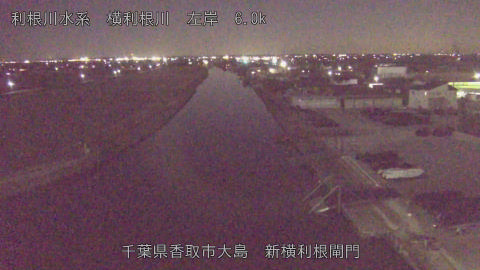 yoko2026020119_image