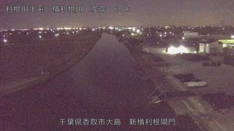 yoko2026020120_image