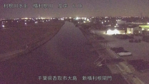 yoko2026020121_image