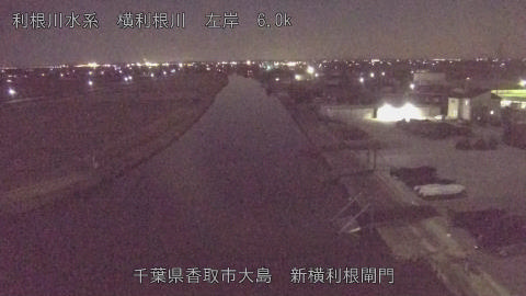 yoko2026020122_image