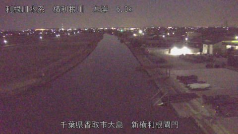 yoko2026020201_image