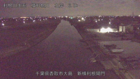 yoko2026020204_image