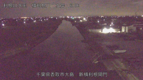 yoko2026020205_image