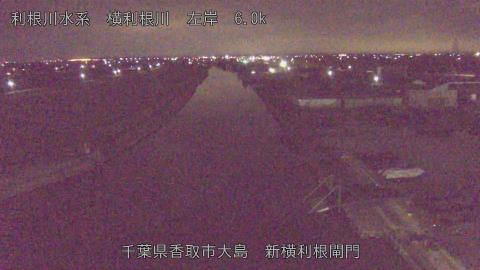 yoko2026020206_image