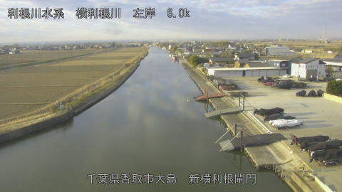 yoko2026020208_image