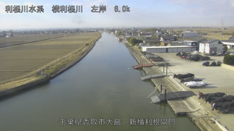 yoko2026020209_image