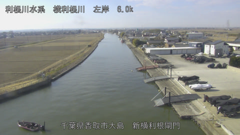 yoko2026020210_image