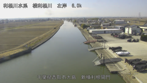 yoko2026020211_image