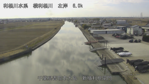 yoko2026020212_image