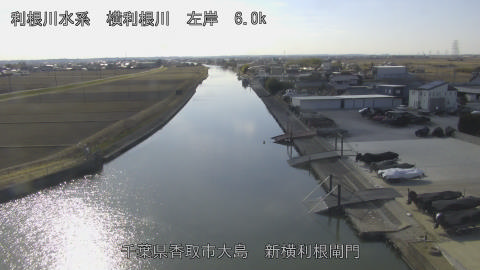 yoko2026020213_image