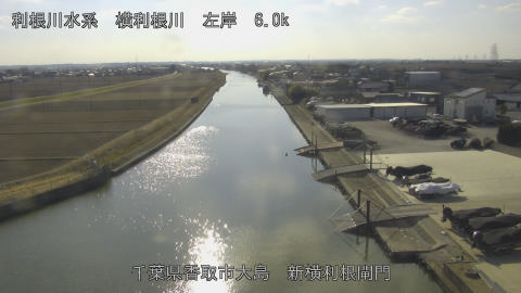 yoko2026020214_image