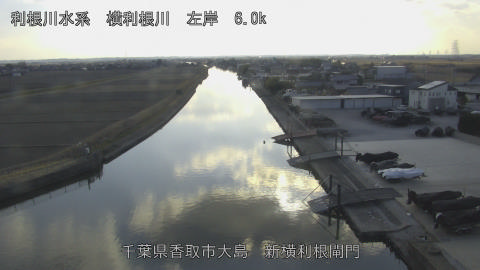 yoko2026020215_image