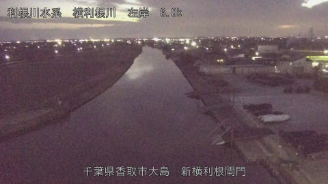 yoko2026020218_image