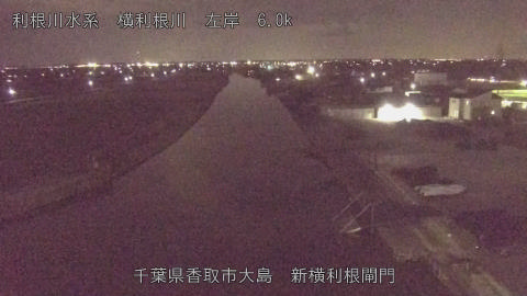 yoko2026020222_image