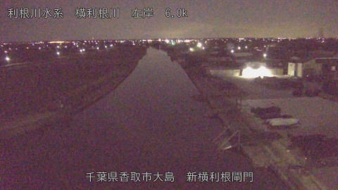 yoko2026020303_image