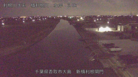 yoko2026020304_image