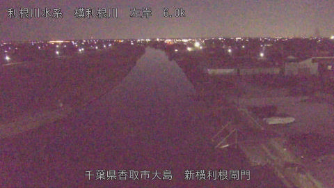 yoko2026020306_image