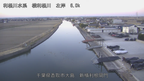 yoko2026020307_image