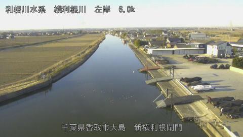 yoko2026020308_image