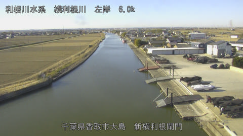 yoko2026020309_image