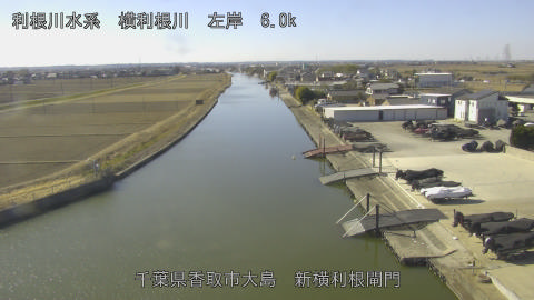 yoko2026020311_image