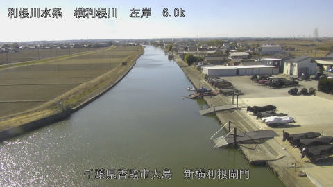 yoko2026020312_image