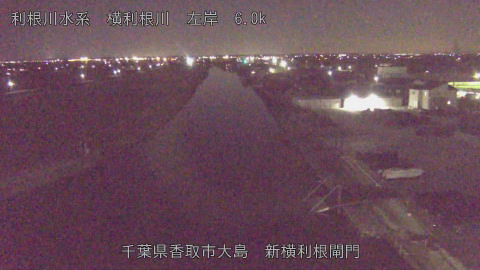 yoko2026020321_image