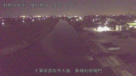 yoko2026020322_image