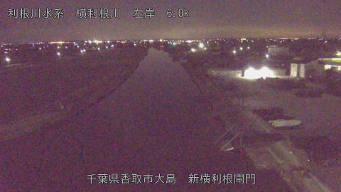 yoko2026020400_image