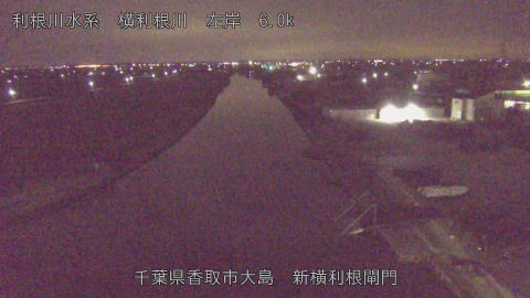 yoko2026020401_image