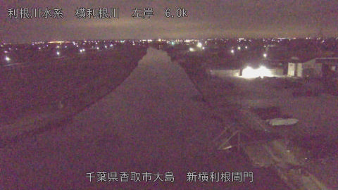 yoko2026020402_image