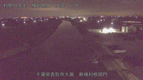 yoko2026020403_image