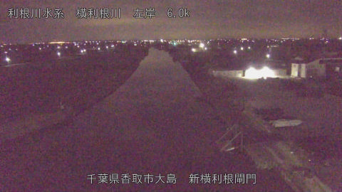 yoko2026020404_image