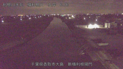 yoko2026020405_image