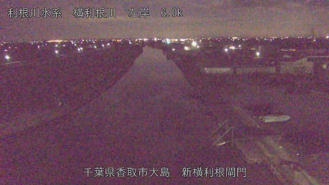 yoko2026020406_image