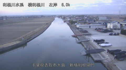 yoko2026020407_image