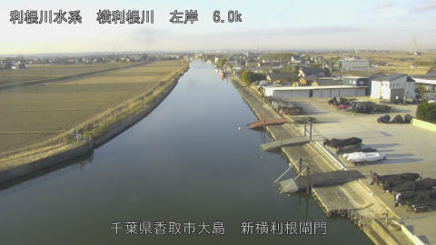 yoko2026020408_image