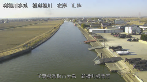 yoko2026020409_image