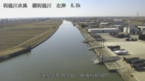 yoko2026020412_image