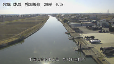 yoko2026020414_image